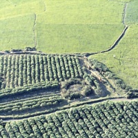 HUEY VIEW