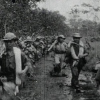 NVA Thousands of EM!