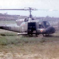 Swamp Rat II
