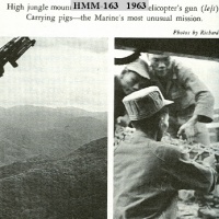 Richard Tregaskis VIETNAM DIARY 1963