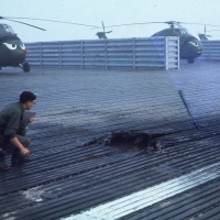 Rocket Damage at Quang Tri 1968