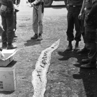 Python at Khe Sanh