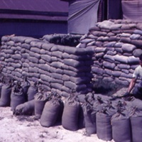 Building better bunker