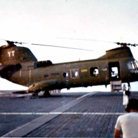 A few birds from HMM-164 67-68
