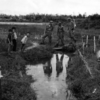 Rice paddies 2